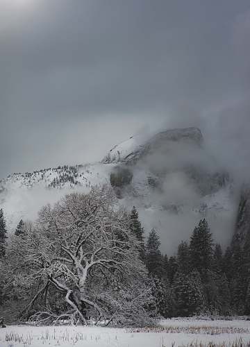 yosemite valley landscape photo of mountain and tree covered with snow moody